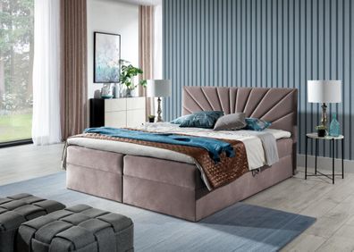 FURNIX Boxspringbett TREZO 4 120x200 mit tiefen Bettkasten und Topper EV 70806 Rosa