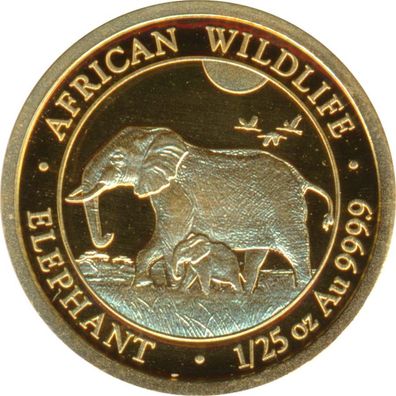 Somalia Republik 2022 - Elefant 50 Shillings 1/25 Oz