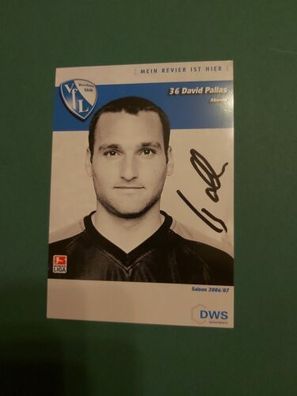 VfL Bochum , David Pallas ,06/07, Autogrammkarte, Fussball