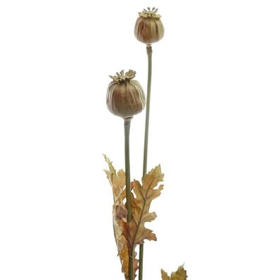 GASPER Herbstdeko Mohnzweig Natur hellbraun 74 cm - Kunstblumen