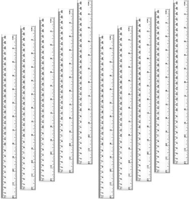 Lineal Plastik Lineal Transparentes Lineal Messgerät mit Zoll und Metrisch