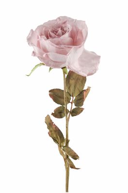 Fink ROSE Bohemian, auve Höhe 66cm 180289