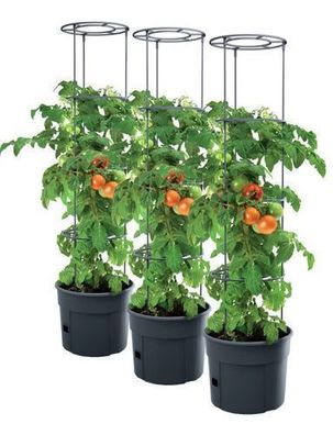 3x Tomatentopf Tomatenpflanzen Pflanzkübel Schutzfolie 28L Tomato Gurken Growe