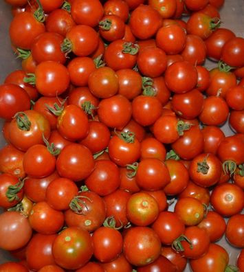 Tomatensamen RUTHJE Samen kleine Herzform Tomaten süß Freiland