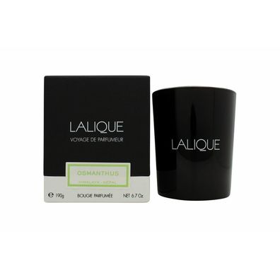 Lalique Candle 190g - Osmanthus Himalaya