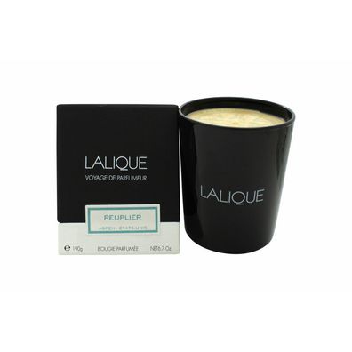 Lalique Candle 190g - Peuplier Aspen