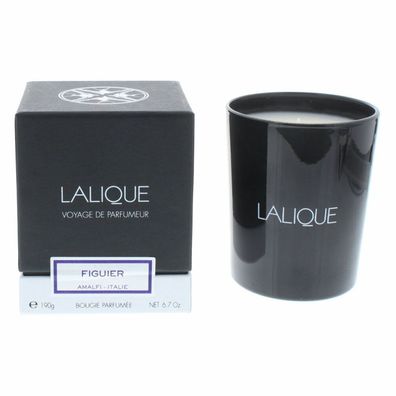 Lalique Candle 190g - Figuier Amalfi