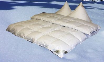 Eiszeit Premium 10 cm Winter Hochsteg Daunendecke Daunenbett 6x6 200x220 cm