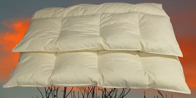 4-Kammer Daunenbett Steppdecke Daunendecke 155x220 cm 1600 g 60% Daunenanteil