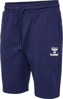 Hummel Shorts Hmlicons Regular Shorts