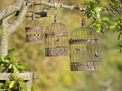 3 Vogelkäfige Vogel Käfig Deko antik Stil Metall braun bird cage Dekokäfig