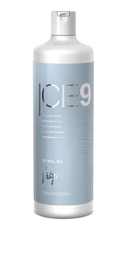 Vitality's Ice 9 Entwickler 9% 1000ml