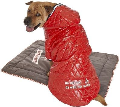 1. FC Köln Hundejacke 4070009