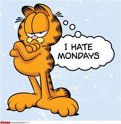 Garfield I Hate Mondays Poster 50x50 cm Multicolor