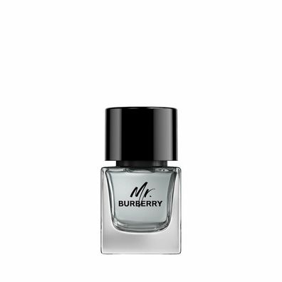 Burberry Mr Burberry Eau De Toilette 50ml Spray