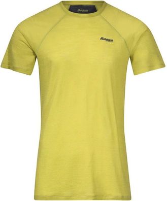 Bergans Sportshirt Floyen Wool Tee Green 97271