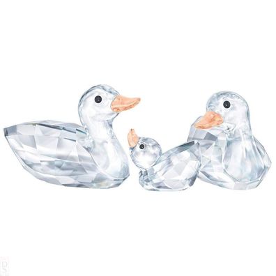 Swarovski ENTEN 5376422