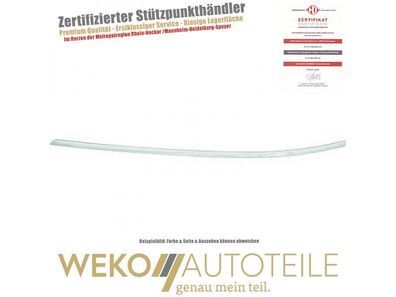 Zier-/Schutzleiste, Stoßfänger vorne links Diederichs 1681163 für