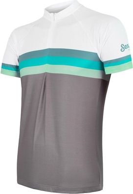 Sensor Radsport Zubehör Herren Radtrikot Cyklo Summer Stripe/Green 120827