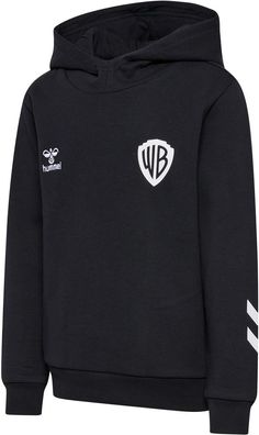 Hummel Kinder Sweatshirts & hoodies Hmlcelebrating Story Hoodie