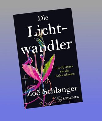 Die Lichtwandler, Zoë Schlanger