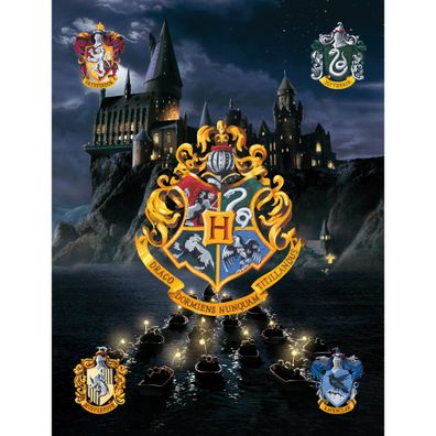 Kinderteppich Harry Potter Hogwarts 100x133 cm