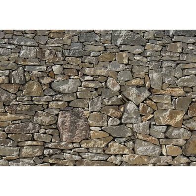 Komar Fototapete Stone Wall 368×254 cm 8-727