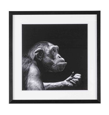 Bild Monkey, 50x50 cm 49x3x49 cm