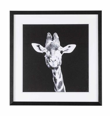 Bild Giraffe, 50x50 cm 49x3x49 cm