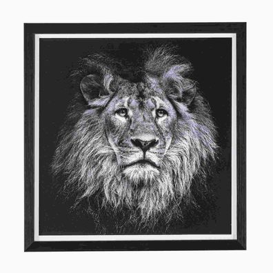 Bild Lion No.2, 43x43 cm 43x3x43 cm