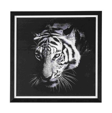 Bild Tiger, 43x43 cm 43x3x43 cm