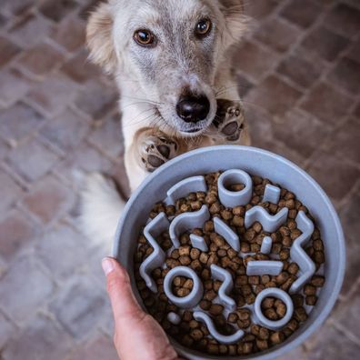 District70 Anti-Schling-Napf für Hunde Bambus 28 cm Eisblau