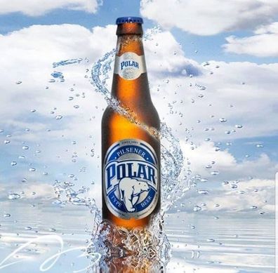 Polar Pilsener 24 x 0,355l - Das beliebte Bier aus Venezuela mit 4,5 % Vol