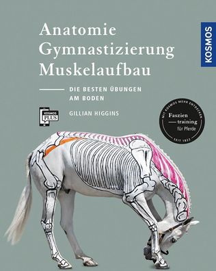 Anatomie, Gymnastizierung, Muskelaufbau, Gillian Higgins