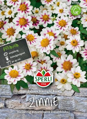 Sperli Zinnien Zahara Starlight Rose - Blumensamen