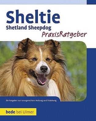 Sheltie, Charlotte Schwartz