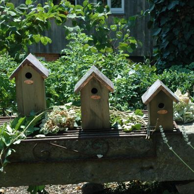 Esschert Design Nistkasten Zaunkönig, Vogelhaus Nest Kupferdach NK06