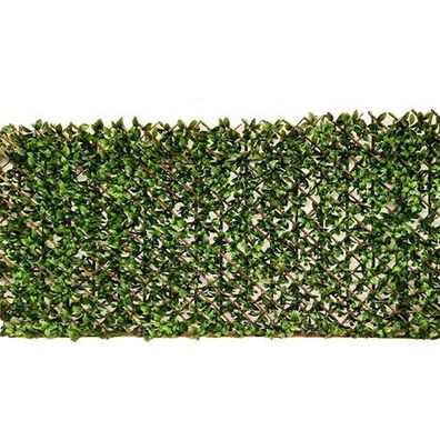 Willow Fence faltbar 100x200 cm Künstliche Hecke Buitengewoon de boet