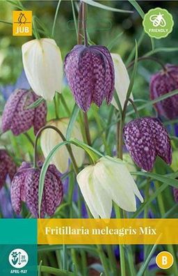 Fritillaria meleagris gemischte Blumenzwiebeln 15 Zwiebeln Jub