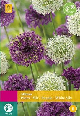 Allium lila/weiß mix Blumenzwiebeln 15 Zwiebeln Jub