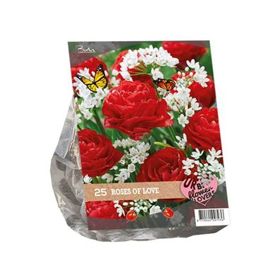 Urban Flowers Roses of love pro 25 Zwiebeln Baltus