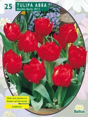 Tulipa Double Early Abba 25 Stück Baltus