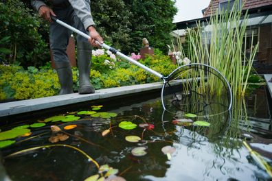 Kescher Fisch groß grobmaschig mit Teleskopstiel Ubbink