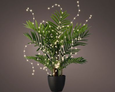 Micro LED plantBO l80 cm silber/weiß Weihnachtsbeleuchtung Lumineo