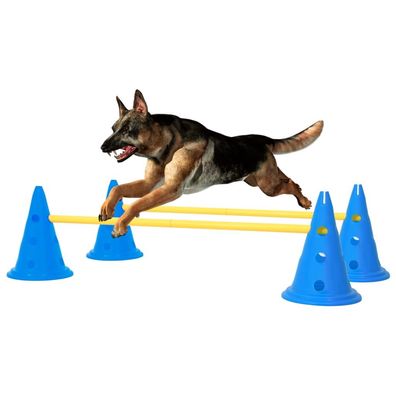 vidaXL Agility Hundetraining Hindernis-Set Blau und Gelb