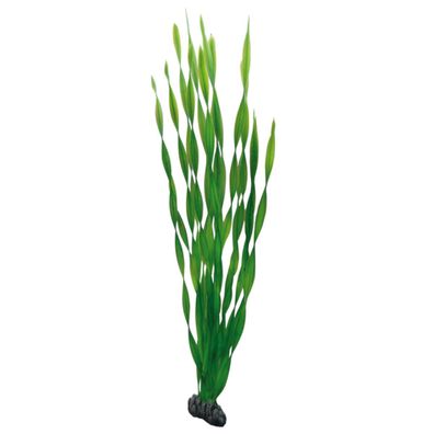 Hobby Vallisneria, 60 cm - Kunststoffpflanze für Aquarien