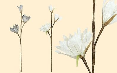 Gilde Deko Tulpenmagnolie grau + creme H 90 cm 42679