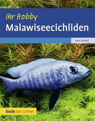 Malawiseecichliden, Peter Bredell