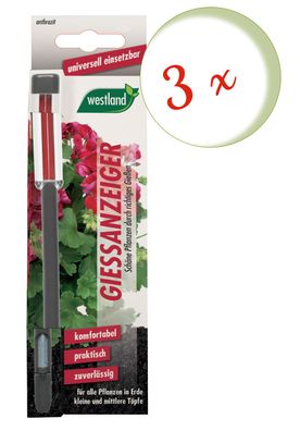 3 x WESTLAND® Gießanzeiger für Blumenerde, 16 cm anthrazit