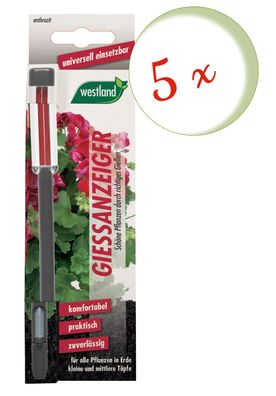 5 x WESTLAND® Gießanzeiger für Blumenerde, 16 cm anthrazit